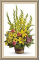 Ruths Floral, 7111 S State St, Midvale, UT 84047, (801)_255-2603